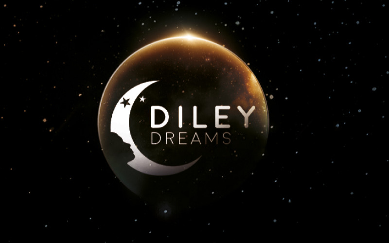 Latest company case about DILEY DREAMS - Plug in Dimmable Dusk to Dawn Night Light